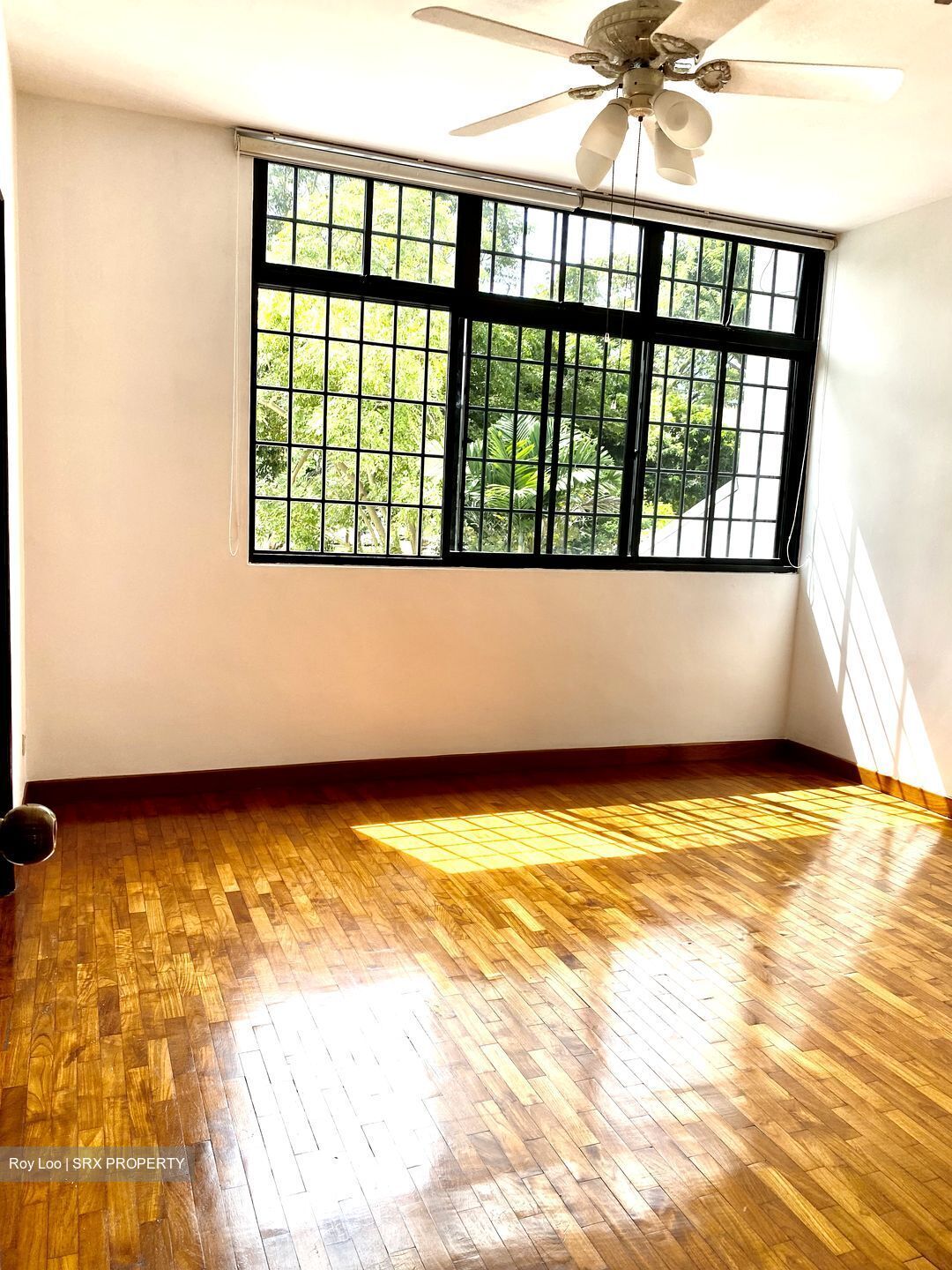 Canary Park (D16), Terrace #329096361